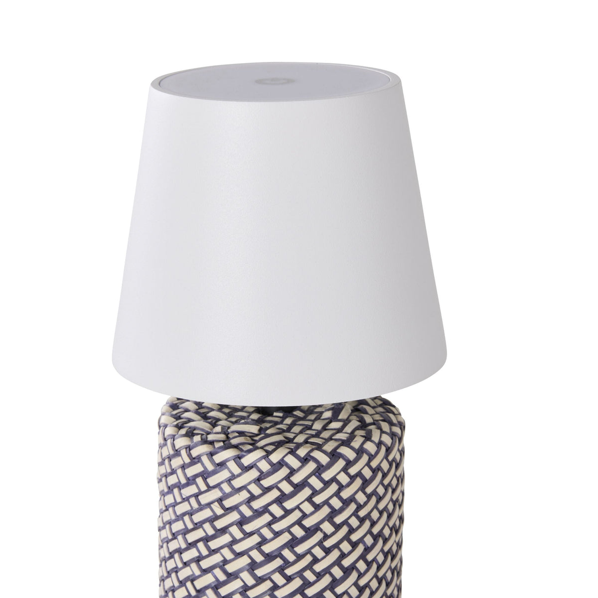 Alexa Palm Leaf Portable Lamp with LED 29cm