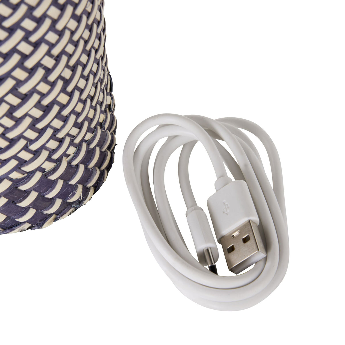 Alexa Palm Leaf Portable Lamp with LED 29cm